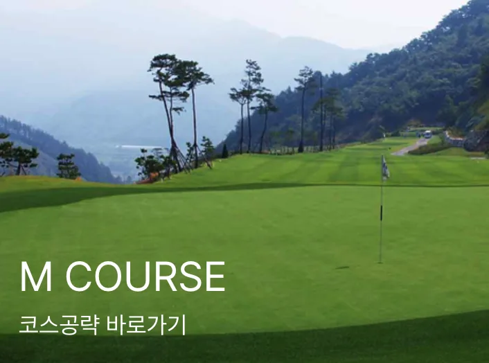 회사 사진
